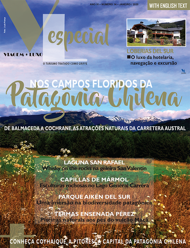 VL 14 Patagônia Chilena